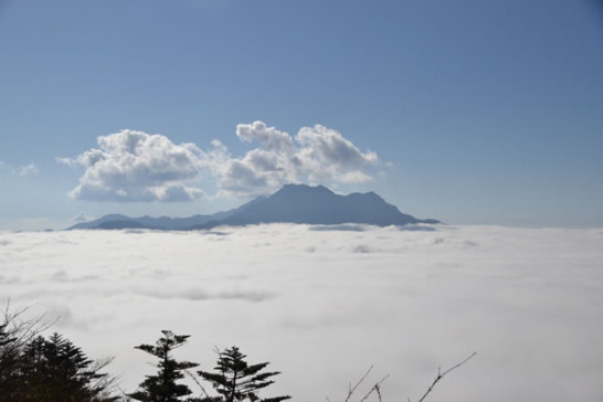 絶景　瓶ヶ森　雲海　石鎚山