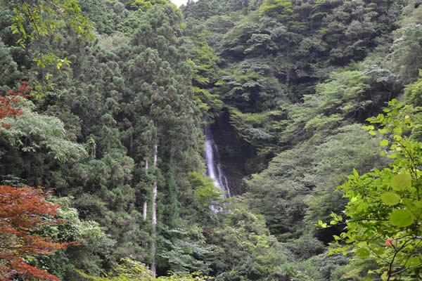 高知市　滝　山姥の滝